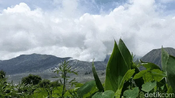 Potret Jembatan Kaca Pertama di Bromo, Siap Jadi Magnet Wisatawan