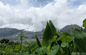 Potret Jembatan Kaca Pertama di Bromo, Siap Jadi Magnet Wisatawan