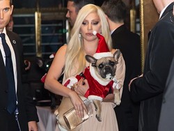 Penculik Anjing Lady Gaga Terancam Dipenjara 21 Tahun