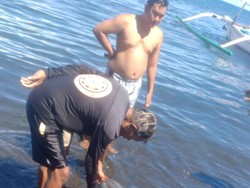 BKSDA Manfaatkan Kerangka Lumba-lumba Mati di Pantai Penimbangan