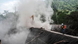 Material Vulkanik Semeru yang Timbun Kajar Kuning Mulai Dibersihkan
