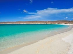 Destinasi Kamu Selanjutnya di Australia Barat: Ningaloo Reef