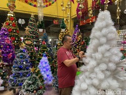 Mengapa Hari Natal Identik dengan Pohon Cemara? Ini Sejarahnya