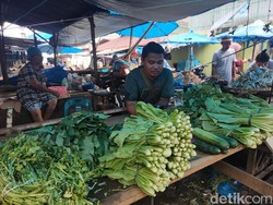 Harga Sayur di Asahan yang Naik Daun Bikin Emak-emak Kaget