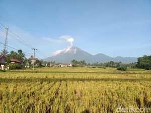 Hari Ini Gunung Semeru Masih Fluktuatif, Alami 21 Kali Letusan Dalam 6 Jam