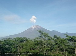 Semeru Masih Erupsi, Aktivitas Bandara Malang hingga Surabaya Normal