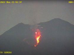 Semeru Masih Erupsi, Lava Pijar Terlihat pada Senin Malam