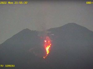 Status Masih Awas, Gunung Semeru Muntahkan Lava Pijar