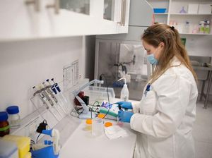 RNA: Pengertian, Struktur, Jenis, dan Perbedaannya dengan DNA RNA: Pengertian, Struktur, Jenis, dan Perbedaannya dengan DNA