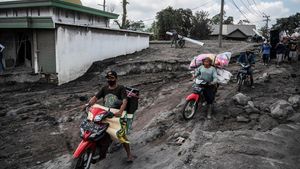 Ganasnya Muntahan Semeru Terjang Jalan hingga Jembatan dan Rumah Warga
