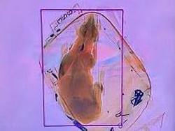 Lho Ada Anjing di Tas Jinjing, Pasti Terjaring di Pemeriksaan Bandara Dong