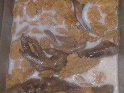 Bikin Mual, Muncul Sekte Makan Sereal dan Susu Topping Ceker Ayam