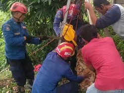 Warga Bogor Lapor Damkar Minta Evakuasi 2 Kambing Nyemplung ke Sumur