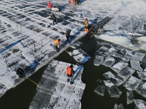 Penampakan Es Batu yang Diambil dari Sungai Songhua China Penampakan Es Batu yang Diambil dari Sungai Songhua China