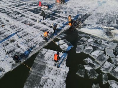 Penampakan Es Batu yang Diambil dari Sungai Songhua China