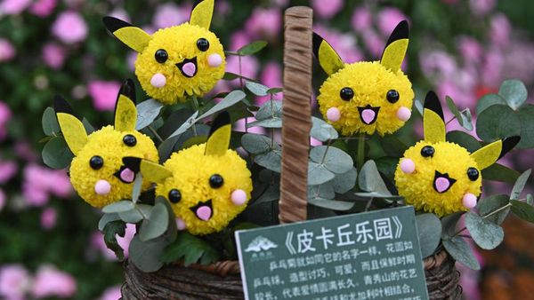 Gemas Banget, Bunga Krisan Disulap Jadi Bentuk Karakter Unik