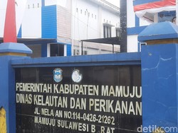 Polisi Usut Unsur Pidana Kasus Oknum ASN Mamuju Tipu Warga Rp 400 Juta