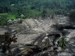 121 Hektare Lahan Pertanian di 2 Kec Lumajang Tertutup Abu Vulkanik Semeru