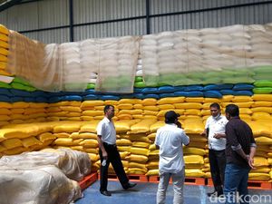Bulog Klaim Stok Beras 742 Ton di Toraja Aman hingga Akhir Tahun