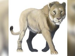 Sungai Terpanjang di Dunia Mengering, Fosil Singa Raksasa AS Ditemukan