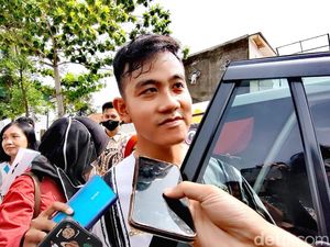 Gibran Tak Cuma Punya Kaus Adam Inul, di Lemari Ada King Nassar-Rhoma Irama