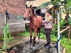 Aiptu Warsito, Polisi yang Jadi Kusir Kereta Pernikahan Kaesang-Erina