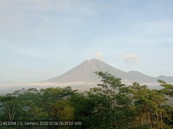 Gunung Semeru Kembali Erupsi, Tinggi Letusan 300 Meter dari Puncak