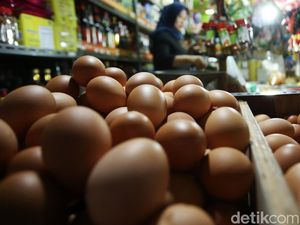Harga Telur Ayam Tembus Rp 30.000/Kg Jelang Ramadhan Harga Telur Ayam Tembus Rp 30.000/Kg Jelang Ramadhan