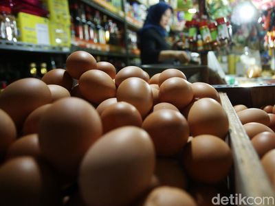 Harga Telur Ayam Tembus Rp 30.000/Kg Jelang Ramadhan