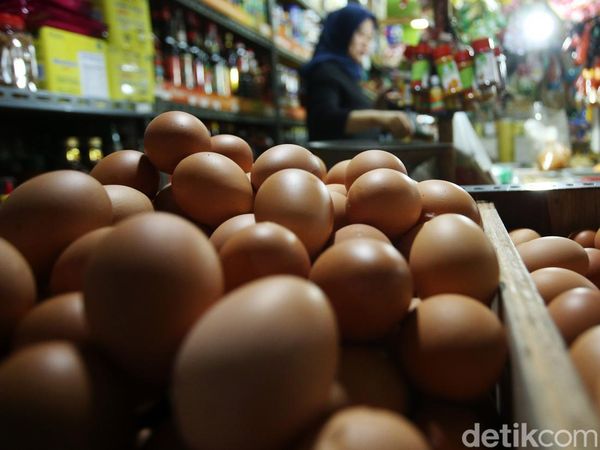 Harga Telur Ayam Tembus Rp 30.000/Kg Jelang Ramadhan