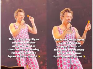 Dilempar Nugget Ayam oleh Fans, Harry Styles Malah Dapat Penghargaan PETA