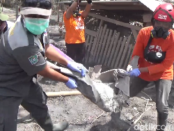 35 Ekor Kambing Warga Mati Tertimbun Abu Vulkanik Semeru