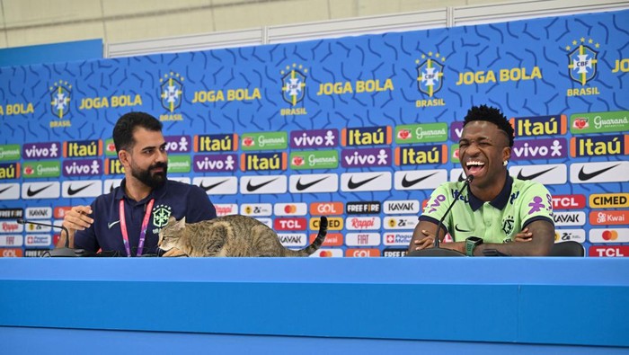TOPSHOT - A cat climbs onto the conference table as Brazil's forward #20 Vinicius Junior laughs as he gives a press conference at the Al Arabi SC Stadium in Doha on December 7, 2022, during the Qatar 2022 World Cup football tournament. - Brazil and Croatia will meet in one of the Qatar 2022 World Cup quarter-finals on December 9. (Photo by NELSON ALMEIDA / AFP) (Photo by NELSON ALMEIDA/AFP via Getty Images)