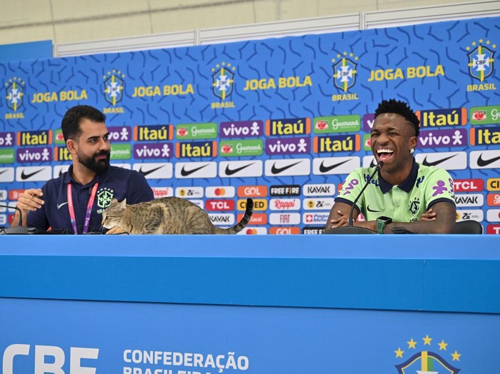 TOPSHOT - A cat climbs onto the conference table as Brazil's forward #20 Vinicius Junior laughs as he gives a press conference at the Al Arabi SC Stadium in Doha on December 7, 2022, during the Qatar 2022 World Cup football tournament. - Brazil and Croatia will meet in one of the Qatar 2022 World Cup quarter-finals on December 9. (Photo by NELSON ALMEIDA / AFP) (Photo by NELSON ALMEIDA/AFP via Getty Images)