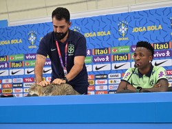 Kucing penyusup itu lantas diusir oleh staf media Brasil dari meja konferensi pers. Ada-ada saja, ya! (Foto: AFP via Getty Images/NELSON ALMEIDA)