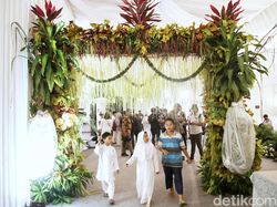 Kakak Erina Gudono Pasang Bleketepe Jelang Siraman di Rumahnya Sleman