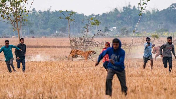 Karya Memukau Jawara Kontes Foto inFocus Bikin Terkesima
