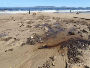 Potret Pantai di Venezuela yang Tercemar Minyak