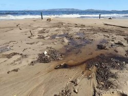 Potret Pantai di Venezuela yang Tercemar Minyak