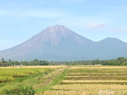 Penampakan Gunung Semeru Usai Muntahkan Lava Pijar hingga Erupsi