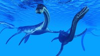 Pemburu Fosil Temukan Harta Karun Fosil Plesiosaurus Umur 100 Juta Tahun