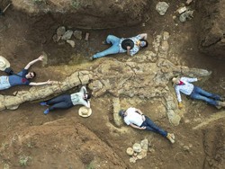 Pemburu Fosil Purba Temukan Jejak Plesiosaurus di Peternakan Queensland