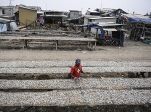 Geliat Produksi Ikan Asin di Tengah Kenaikan Harga