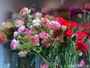 5 Jurusan Kuliah yang Jarang Ditemukan, Manajemen Bunga-Perawatan Rumput