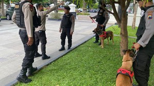 11 Anjing Pelacak Amankan Tasyakuran Pernikahan Kaesang dan Erina