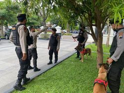 11 Anjing Pelacak Amankan Tasyakuran Pernikahan Kaesang dan Erina