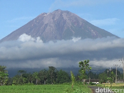 Gunung Semeru Masih di Level Awas, Alami 24 Letusan dalam 6 Jam