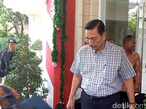 3,3 Juta Hektare Lahan Sawit Ilegal di Hutan Mau Diputihkan, Luhut: Terpaksa! 3,3 Juta Hektare Lahan Sawit Ilegal di Hutan Mau Diputihkan, Luhut: Terpaksa!