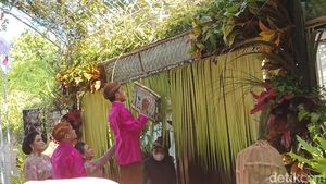 Berbeskap Pink, Jokowi Pasang Bleketepe Jelang Pernikahan Kaesang