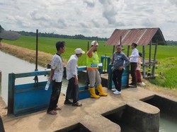 Kasus Korupsi Proyek Irigasi Pemprov Sulsel Rp 3,5 M, 2 Orang Tersangka